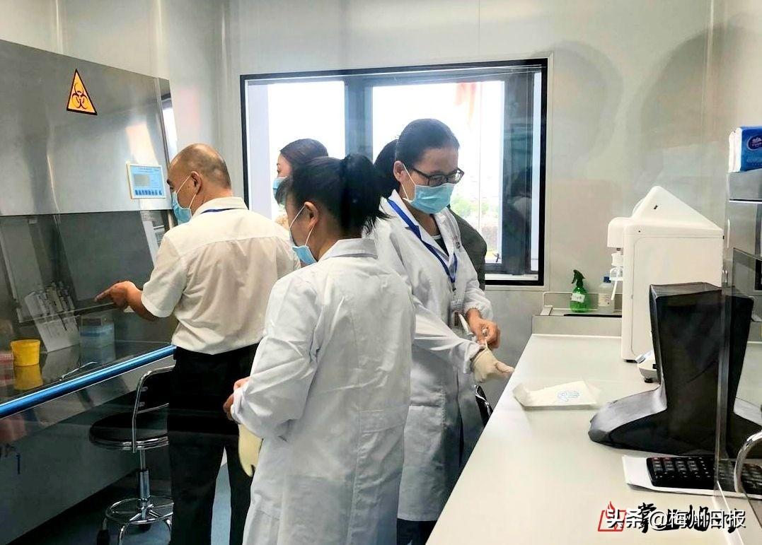 桃李芬芳满天下，猪兄猴弟异姓牛打一个准确生肖全面释义、定量解答解释落实